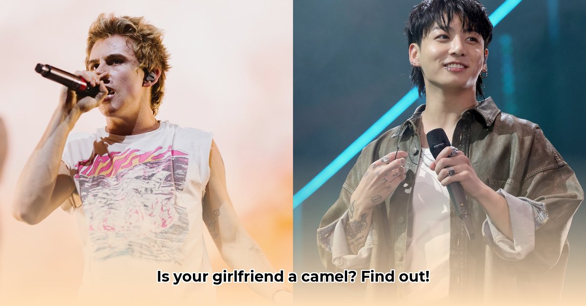 how-much-is-my-girlfriend-worth